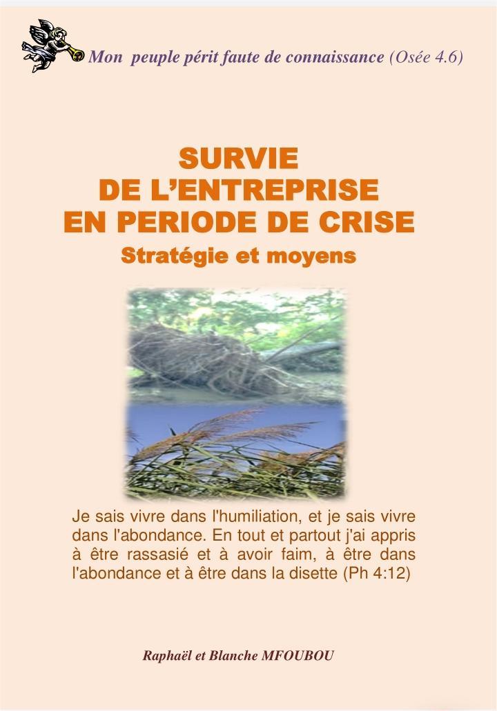 Survie de l'entreprise en période de crise